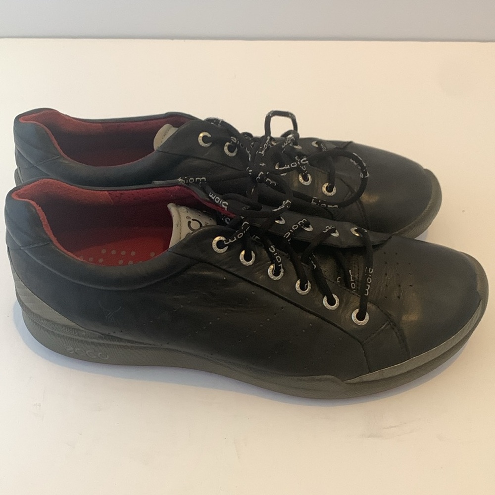 Ecco Biom View 4